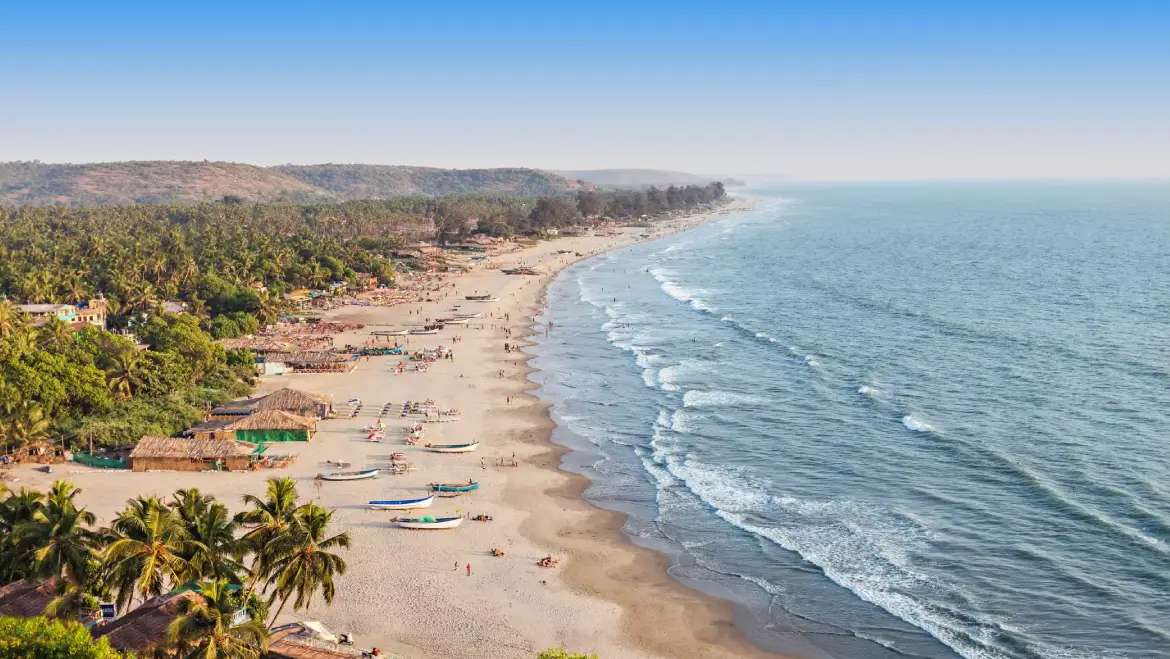 Aerial view of a sun-drenched beach in Goa with palm trees and calm ocean waves.